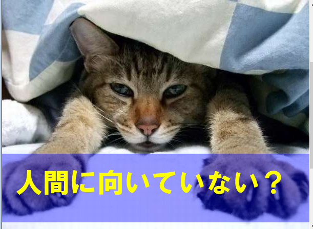 f:id:kotorin6:20180907100309p:plain f:id:kotorin6:20180907100309p:plain