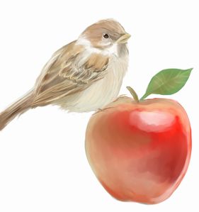 f:id:kotorin6:20170203204126j:plain f:id:kotorin6:20170203204126j:plain