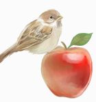 f:id:kotorin6:20170203210854j:plain f:id:kotorin6:20170203210854j:plain