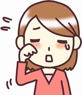 f:id:kotorin6:20170329074336j:plain f:id:kotorin6:20170329074336j:plain