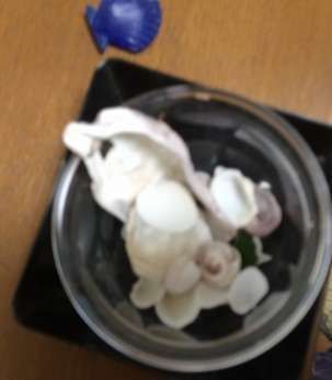 断捨離した夏小物